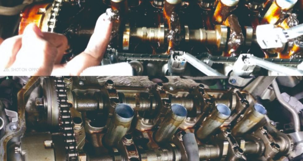 WhatsApp Image 2022-11-16 at 16.12.07